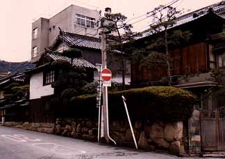hashimoto1.jpg