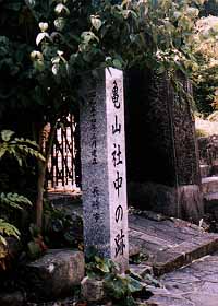 59599566005-min.jpg